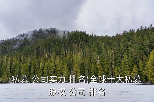 資產管理公司規(guī)模排名,中國人壽資產管理公司規(guī)模