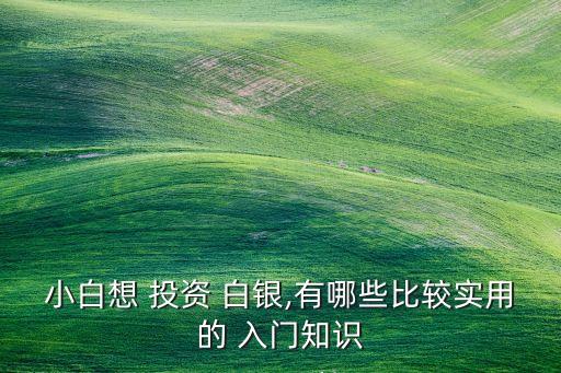 小白想 投資 白銀,有哪些比較實(shí)用的 入門知識(shí)