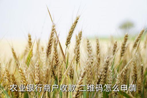 農(nóng)業(yè)銀行商戶(hù)收款 二維碼怎么申請(qǐng)