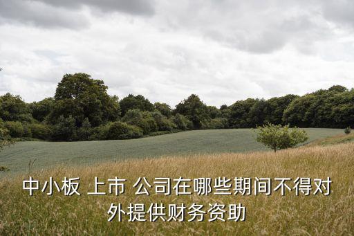 中小板 上市 公司在哪些期間不得對外提供財務(wù)資助