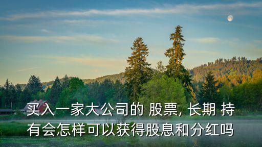 買入一家大公司的 股票, 長(zhǎng)期 持有會(huì)怎樣可以獲得股息和分紅嗎