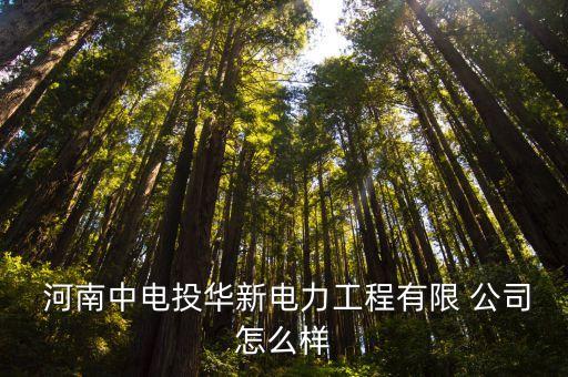中電投河南公司董事長(zhǎng),河南耿力公司董事長(zhǎng)
