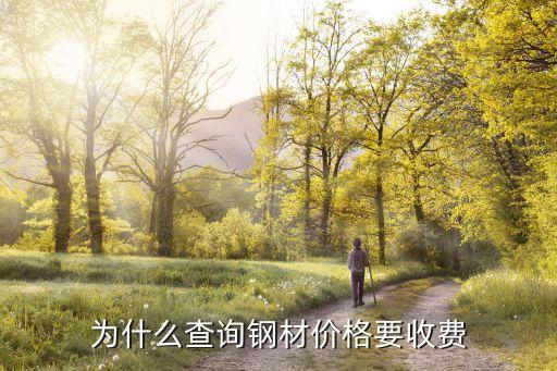 為什么查詢鋼材價格要收費