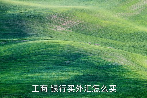 工商銀行結售匯