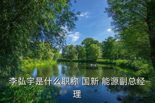 李弘宇是什么職稱(chēng) 國(guó)新 能源副總經(jīng)理