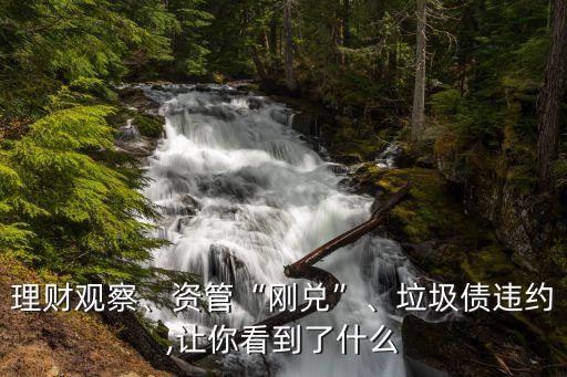 理財觀察、資管“剛兌”、垃圾債違約,讓你看到了什么