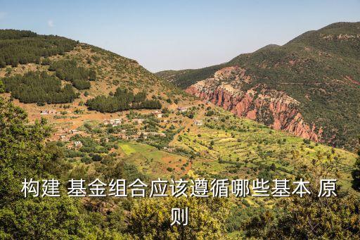 構建 基金組合應該遵循哪些基本 原則