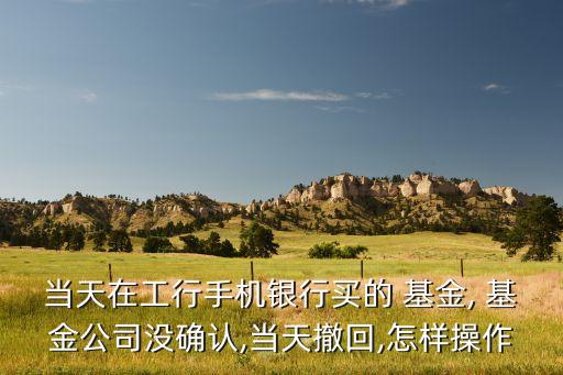 當(dāng)天在工行手機(jī)銀行買的 基金, 基金公司沒(méi)確認(rèn),當(dāng)天撤回,怎樣操作
