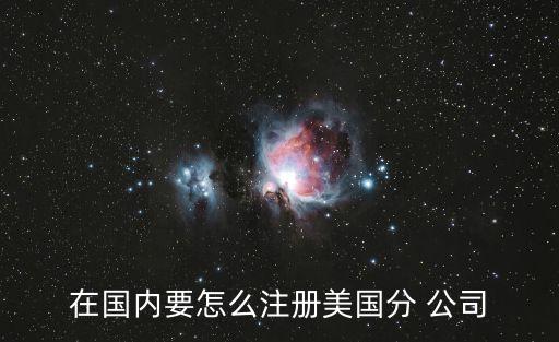 在國內要怎么注冊美國分 公司