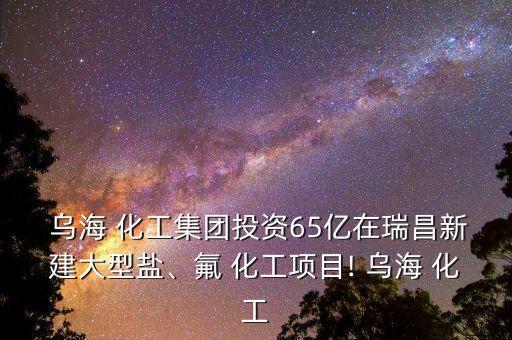 內(nèi)蒙古烏海化工股份有限公司,2023烏?；す煞萦邢薰?/></a></span><span id=