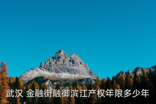 武漢 金融街融御濱江產權年限多少年