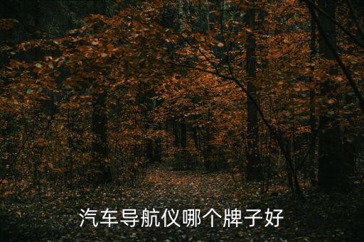 汽車(chē)導(dǎo)航儀哪個(gè)牌子好