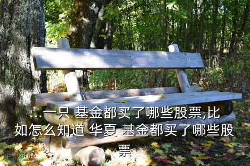 ...一只 基金都買(mǎi)了哪些股票,比如怎么知道 華夏 基金都買(mǎi)了哪些股票