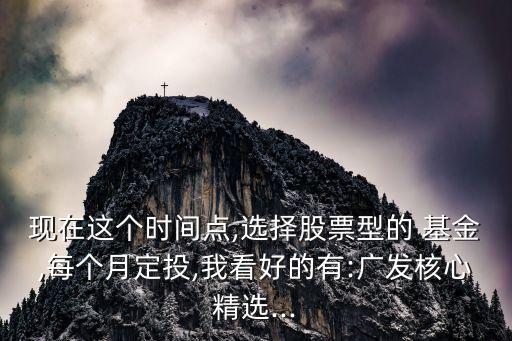現在這個時間點,選擇股票型的 基金,每個月定投,我看好的有:廣發(fā)核心精選...