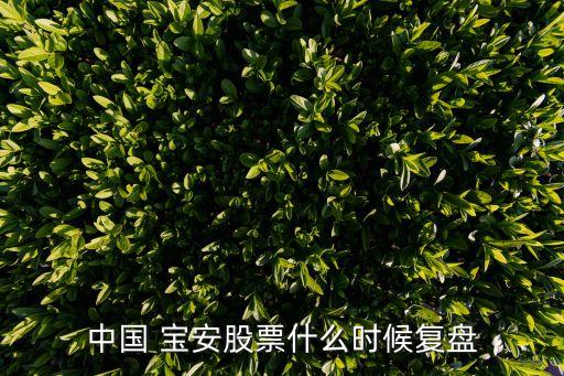 中國(guó) 寶安股票什么時(shí)候復(fù)盤