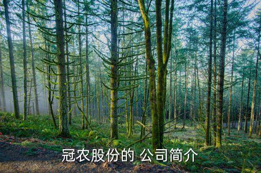 冠農股份的 公司簡介