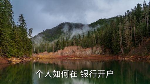 個(gè)人如何在 銀行開(kāi)戶