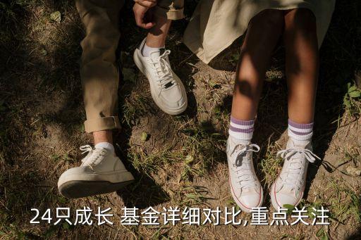 24只成長(zhǎng) 基金詳細(xì)對(duì)比,重點(diǎn)關(guān)注