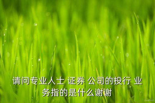 請(qǐng)問專業(yè)人士 證券 公司的投行 業(yè)務(wù)指的是什么謝謝
