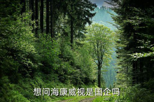 想問(wèn)海康威視是國(guó)企嗎