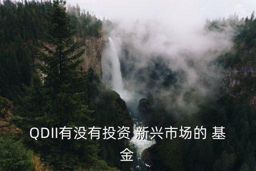 QDII有沒有投資 新興市場(chǎng)的 基金