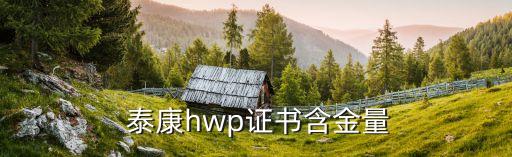  泰康hwp證書(shū)含金量