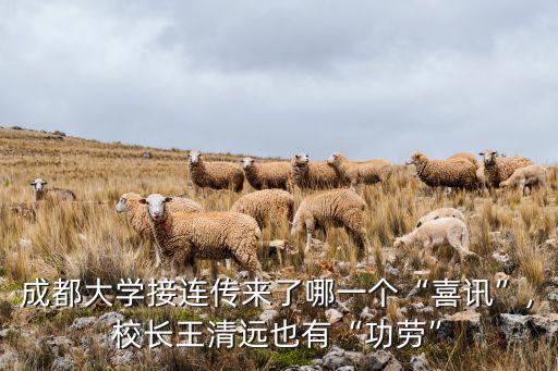 成都大學(xué)接連傳來了哪一個(gè)“喜訊”,校長(zhǎng)王清遠(yuǎn)也有“功勞”