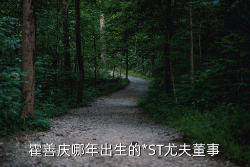 福信集團財務(wù)總監(jiān),集團財務(wù)總監(jiān)崗位職責(zé)