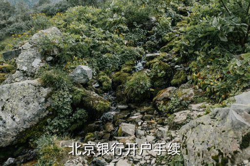 北銀金融公司有營業(yè)執(zhí)照嗎,金融公司不提供營業(yè)執(zhí)照原件怎么辦