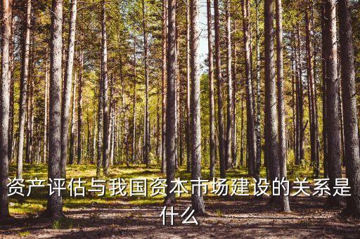 資產(chǎn)評(píng)估與我國資本市場(chǎng)建設(shè)的關(guān)系是什么