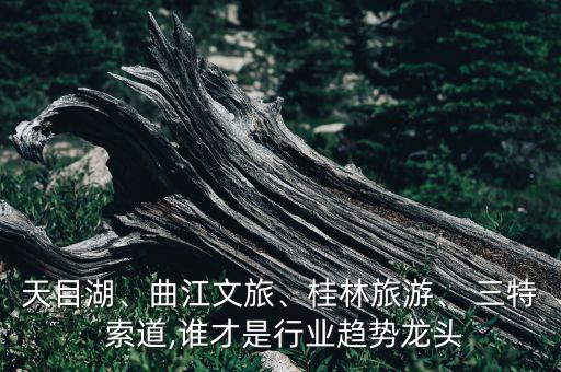 天目湖、曲江文旅、桂林旅游、 三特 索道,誰(shuí)才是行業(yè)趨勢(shì)龍頭