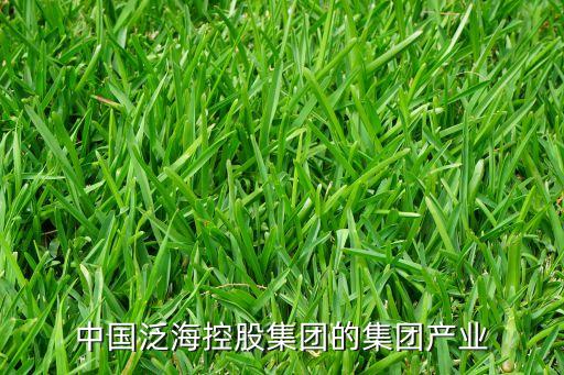中國(guó)泛?？毓杉瘓F(tuán)的集團(tuán)產(chǎn)業(yè)