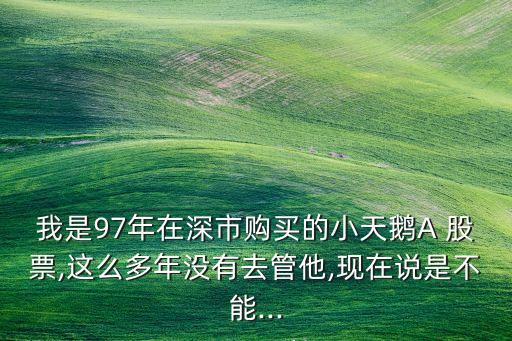我是97年在深市購(gòu)買的小天鵝A 股票,這么多年沒有去管他,現(xiàn)在說是不能...