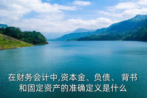 在財務會計中,資本金、負債、 背書和固定資產的準確定義是什么