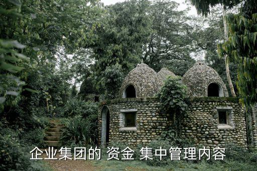企業(yè)集團的 資金 集中管理內(nèi)容