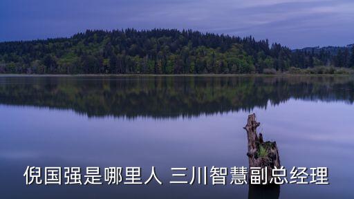 倪國強(qiáng)是哪里人 三川智慧副總經(jīng)理