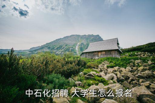  中石化招聘 大學生怎么報名