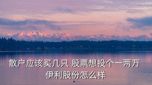 散戶應(yīng)該買幾只 股票想投個(gè)一兩萬 伊利股份怎么樣