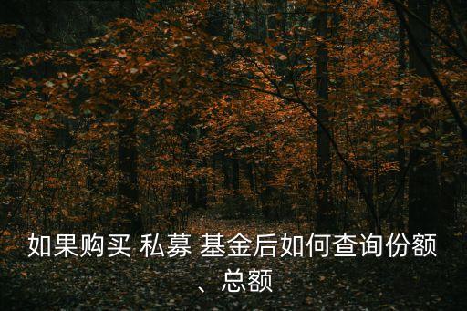 如果購買 私募 基金后如何查詢份額、總額