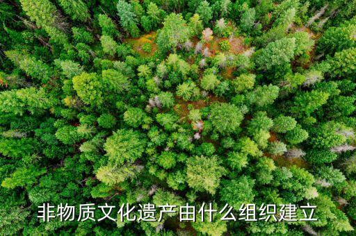 非物質文化遺產(chǎn)由什么組織建立