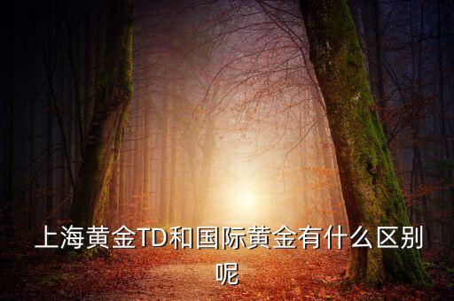  上海黃金TD和國(guó)際黃金有什么區(qū)別呢