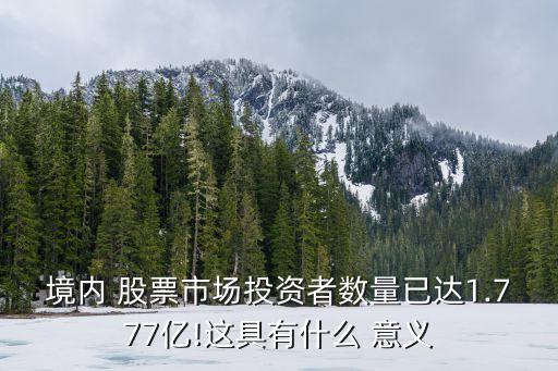 境內 股票市場投資者數量已達1.777億!這具有什么 意義