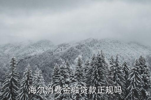 海爾集團(tuán)財務(wù)公司債券,企業(yè)集團(tuán)財務(wù)公司發(fā)行的債券屬于