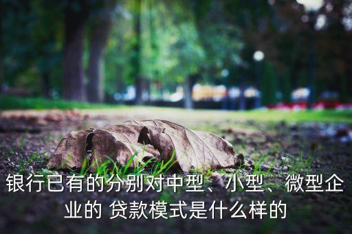 銀行已有的分別對(duì)中型、小型、微型企業(yè)的 貸款模式是什么樣的