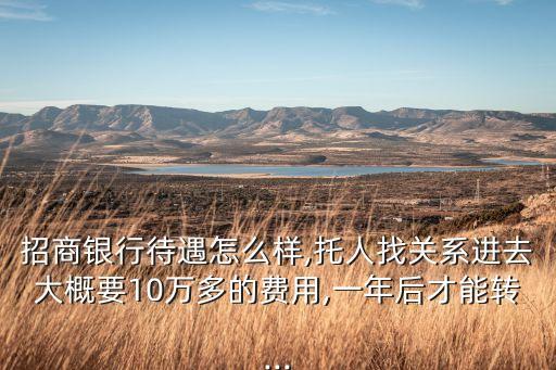 招商銀行待遇怎么樣,托人找關(guān)系進去大概要10萬多的費用,一年后才能轉(zhuǎn)...