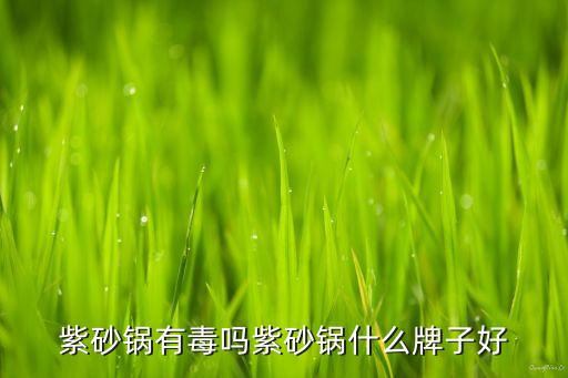 中國(guó)紫月電器,中國(guó)電氣裝備