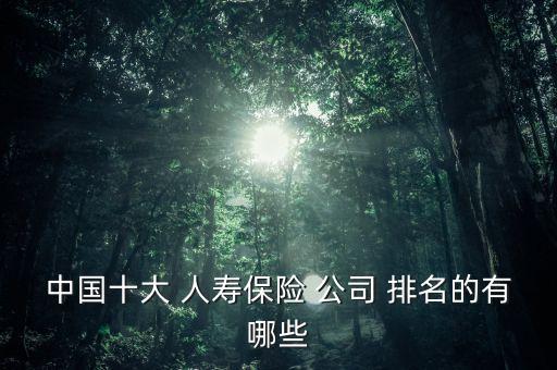 中國十大 人壽保險(xiǎn) 公司 排名的有哪些