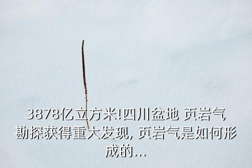 3878億立方米!四川盆地 頁巖氣勘探獲得重大發(fā)現, 頁巖氣是如何形成的...