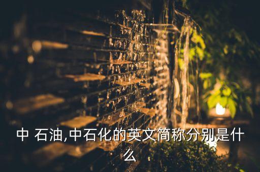 中 石油,中石化的英文簡(jiǎn)稱分別是什么