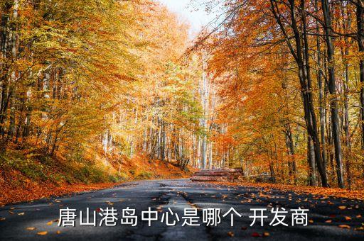 唐山豐南港建設(shè)開發(fā)有限責(zé)任公司,吉林市豐南化工有限責(zé)任公司